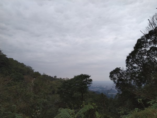 【小百岳12】大尖山完成-81234881