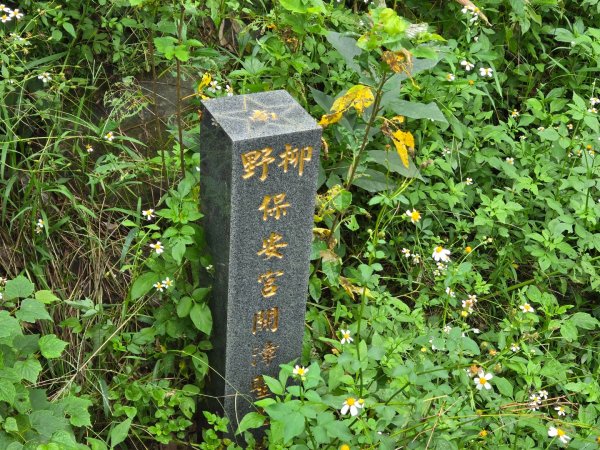 野柳里登山步道2620981