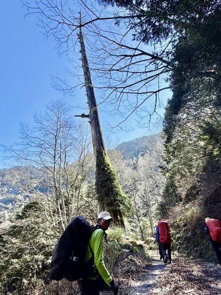 230林道糜爛去    2025.2.28-3.12733790