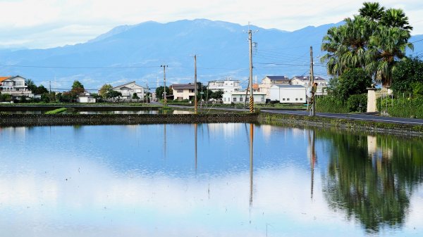 山光水色～蘭陽落羽松尋奇483141