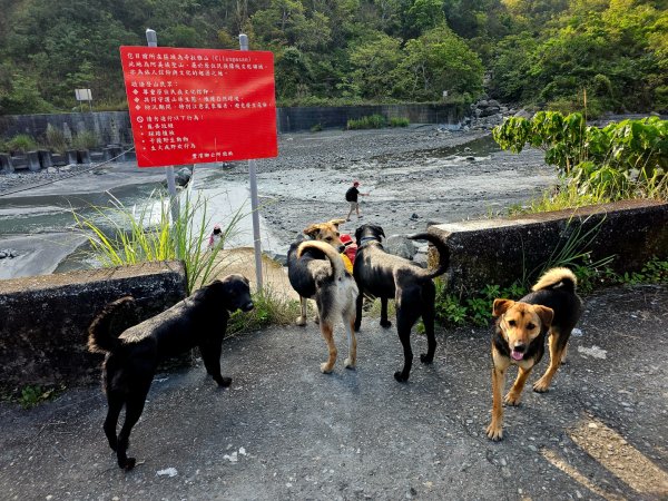 八里灣山-小百岳#91-花蓮縣豐濱鄉3019214