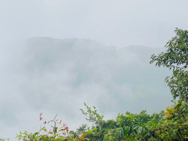 1140101元旦爬山趣2680857