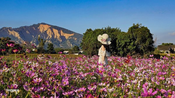 【火炎山】小百岳35-台版大峽谷，山嶺崛起如烈火之巔，仿佛置身於一個令人歎為觀止的火焰世界。.