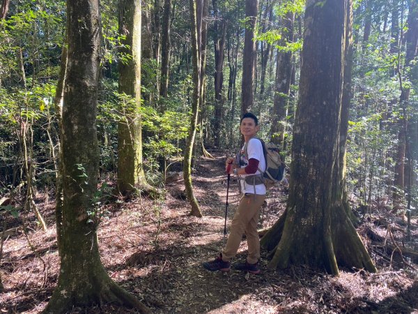 長壽山-醜崠山-鳶嘴山【既優雅又狂野的另類選擇】2673981