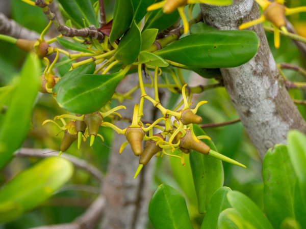 芳苑海空步道2961210