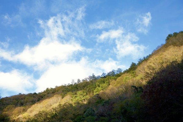 尖石鄉：泰崗溫泉537101