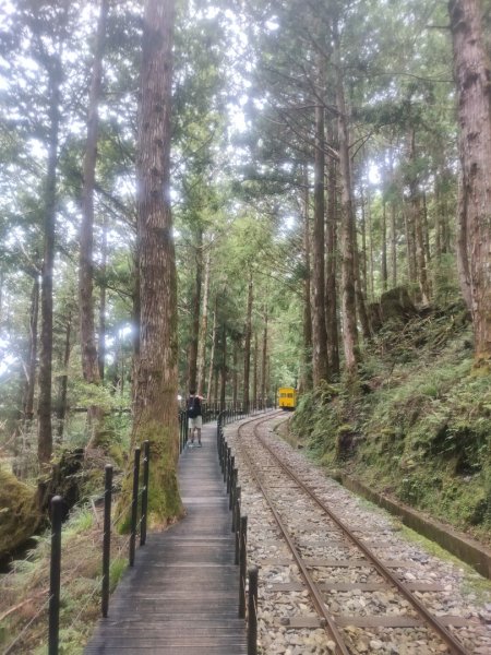 1150728茂興懷舊步道3097235