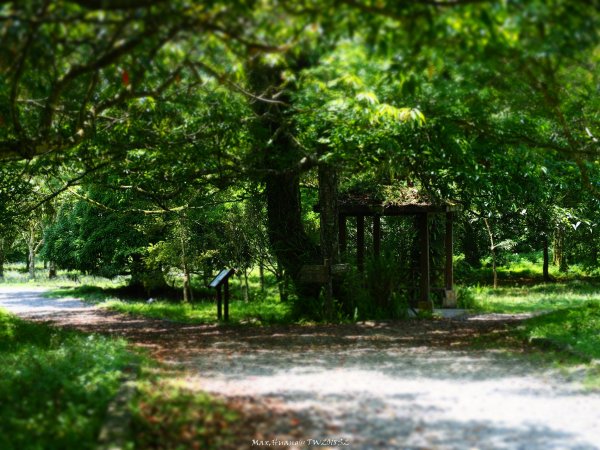 《宜蘭》植物博物館｜員山福山植物園201805182889180