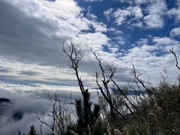 帶好友完成人生第一座初百岳（關山嶺山）2433049