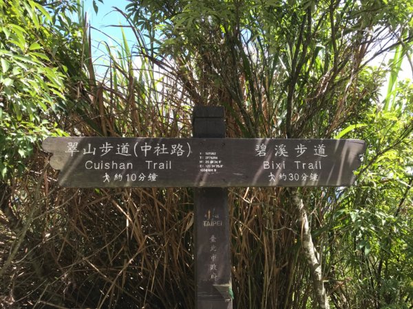 一路大崙頭尾山到金面山1086807