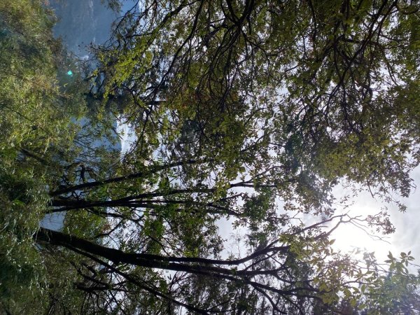 1131215大塔山步道2669092