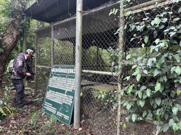 花蓮卓溪熊蹤頻傳 闖梅醋工坊淺嚐離去