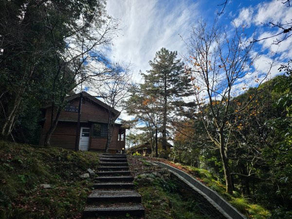 大雪山國家森林遊樂區賞楓／看神木／賞雪白山頭／賞大景2974304