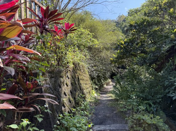 [淡蘭古道] 2026_0315 南路第三段_四分子古道3016918