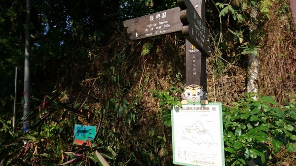 虎山溪+虎山山腰+虎山自然步道348487