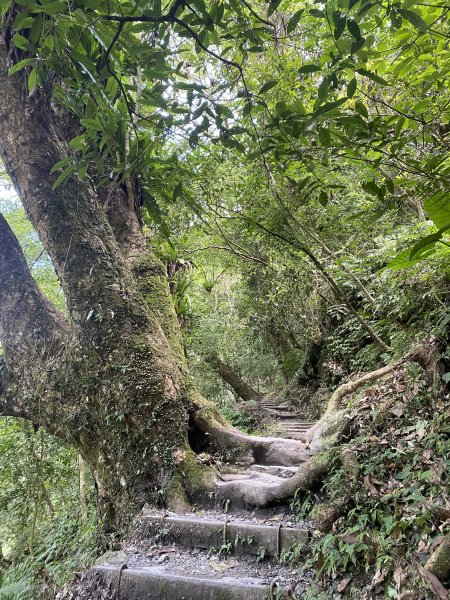 三角崙山及抹茶山3065481
