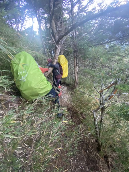 奇萊東稜翻山越嶺的淚與笑D3 2022/10/1—鐵線斷崖前營地至太魯閣北鞍營地1870712