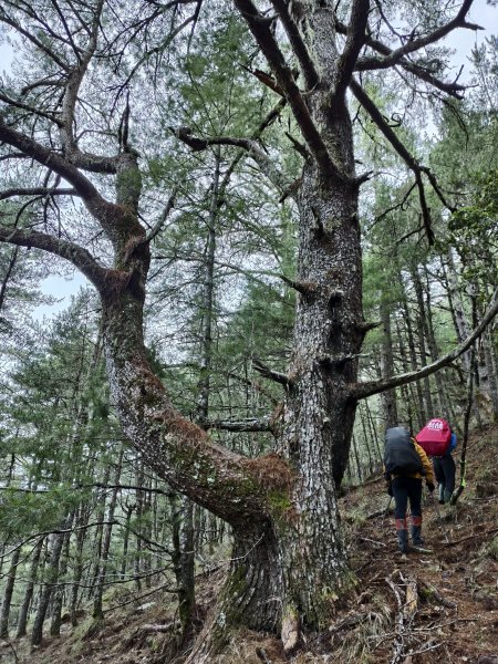 北一段(05/14)南湖南峰 2025_0906~132886499