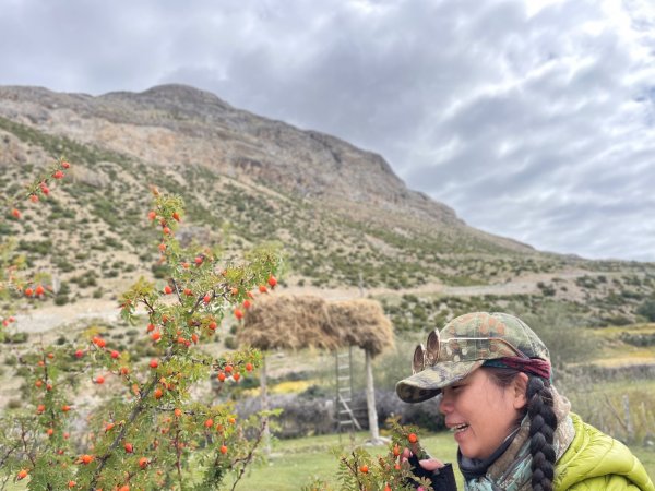 川藏33天深度之旅💙#稻城亞丁-來古冰川2902036