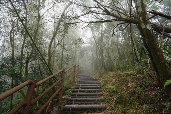 嘉義 梅山 太平山、梨子腳山、馬鞍山、二尖山、大尖山、碧湖山2748979