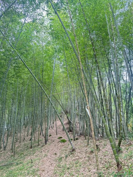 南投小半天七連峰3094629