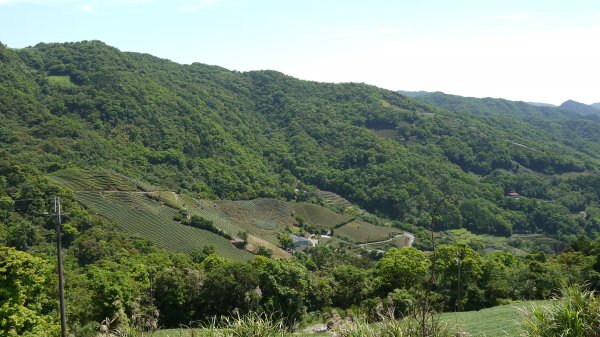 獅公髻尾山登山健行趣（郊山）1577785