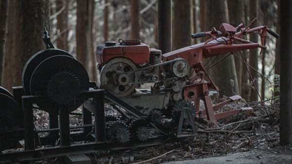 絕美的迷霧森林｜觀霧榛山步道2670058