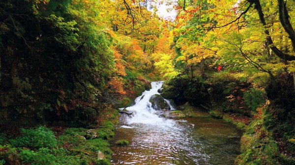 山形縣銀山溫泉2929644
