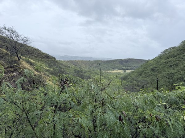 鑽石頭山及珍珠港悠遊  2026.2.213012716