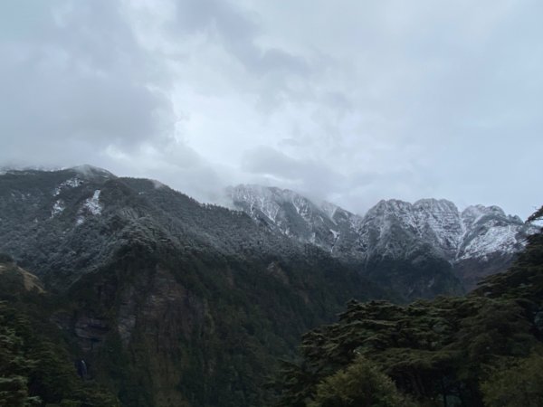 塔塔加-排雲山莊。驚喜滿分的糖霜雪景1565843