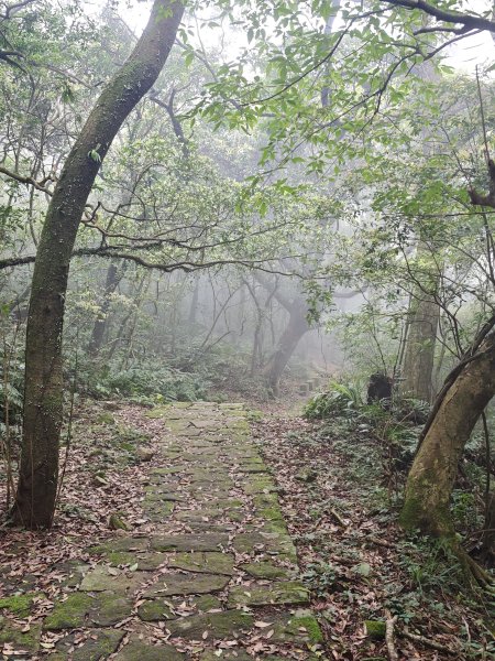 2026-0323 台北大縱走第一段3022623