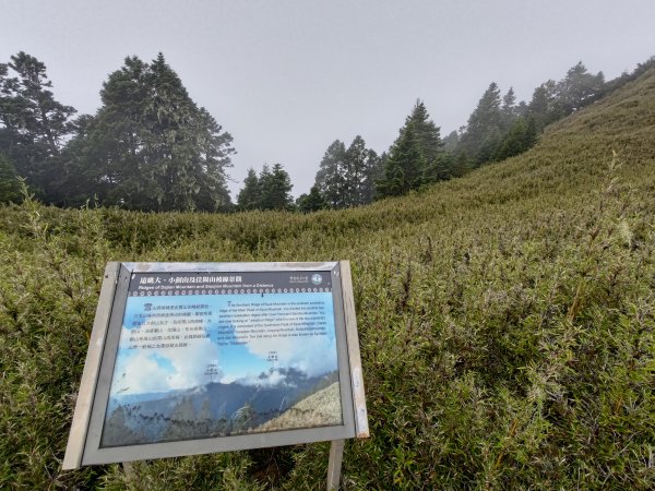 志佳陽大山登山步道2520066