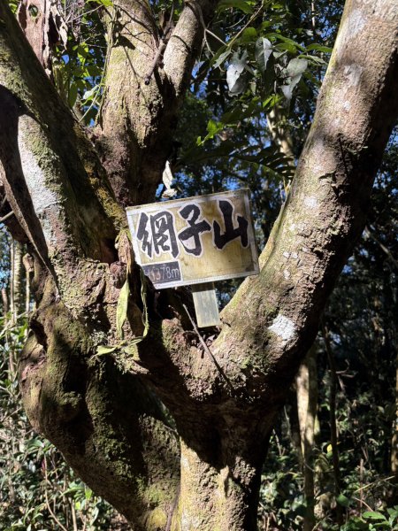 20251116鳴海山、網子山登山步道2938382