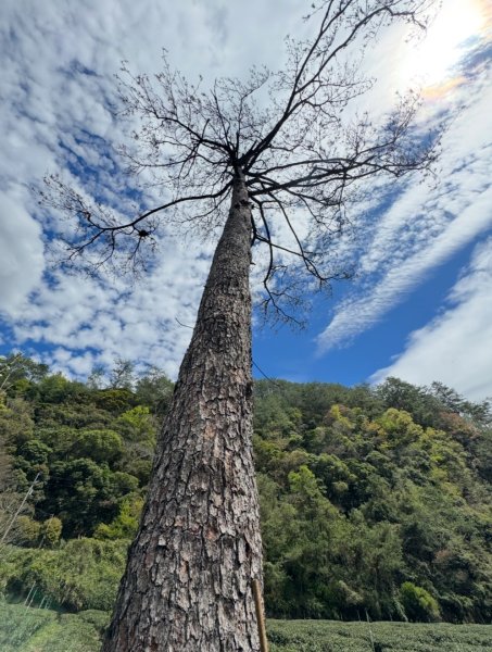 帖比倫峽谷瀑布與紅香溫泉2728751