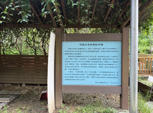 [微笑山線_第二段] 2026_0725 大棟山系_百年大榕樹3101573