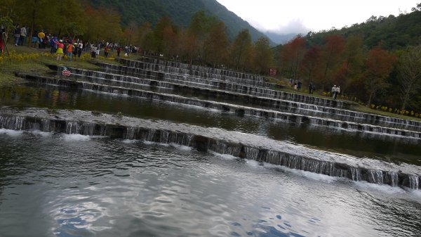 三層坪農塘教育園區登山健行趣1549033