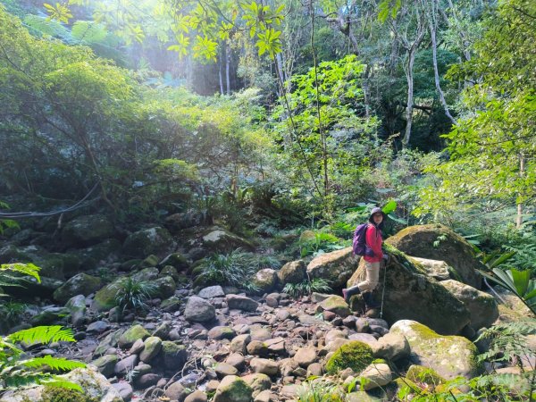 1121125 鳥嘴山縱走貴妃山2363957