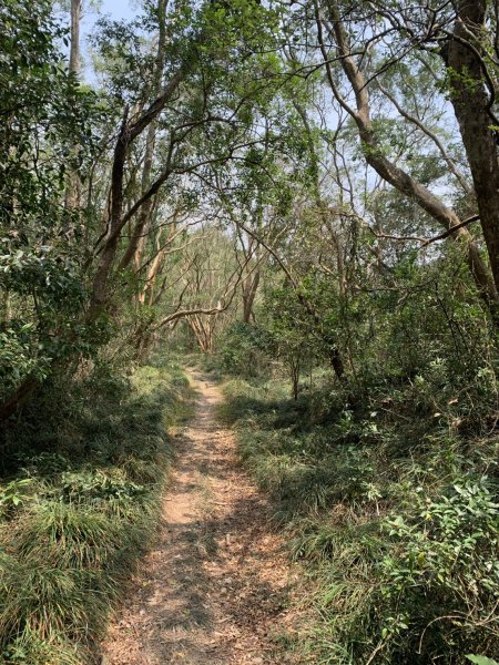 20250404屏東北獅子頭山-霧里乙山2757428