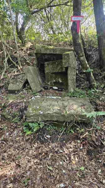 20250430石碇大崙-630峰-獵狸尖-旗子腳山2773920