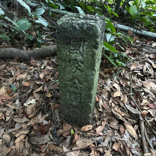 七星山苗圃路線2922625