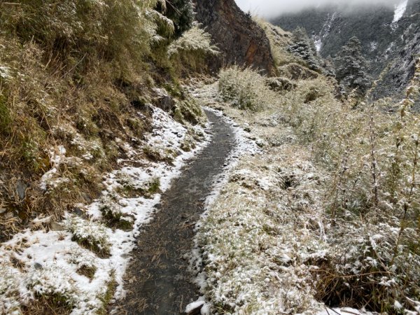 塔塔加-排雲山莊。驚喜滿分的糖霜雪景1565832