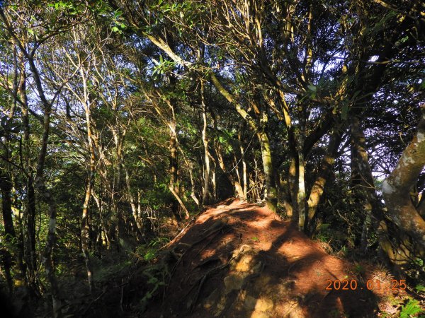 新竹 尖石 大、中、小島田山813641