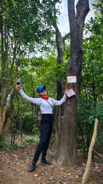 東勢大崙、東勢坑山、觀音湖山O走2986300