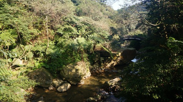 暖東峽谷 暖東舊道 五分山步道連走1262134