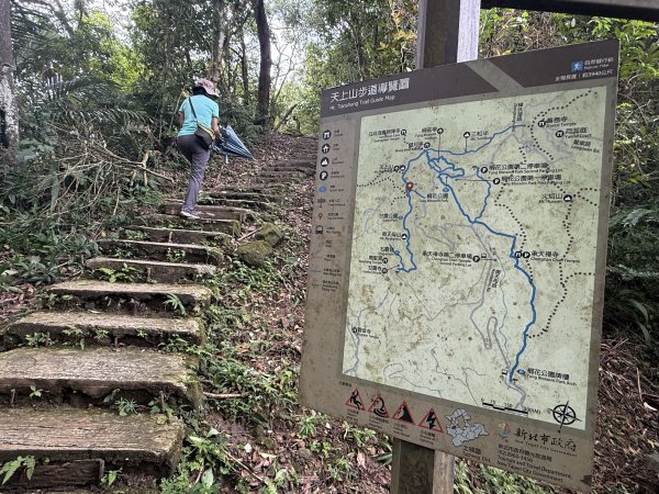 天上山+大棟山 2025.07.202864416