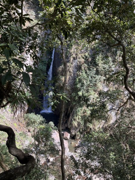 蝶夢八唐搜尋失蹤者 2025.11.252954293