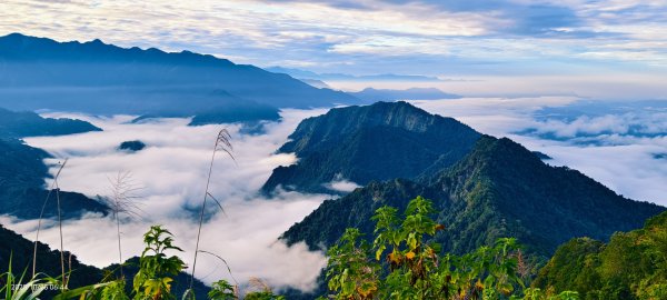 #馬那邦山 #琉璃光 #日出 #雲海 #山羌 #楓葉 10/25 & 11/12924601