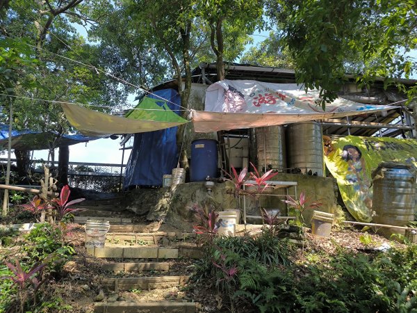 20250830天上山、旺旺嶺、太極嶺2874076