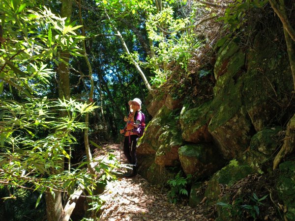 小東河上大龍山2247149