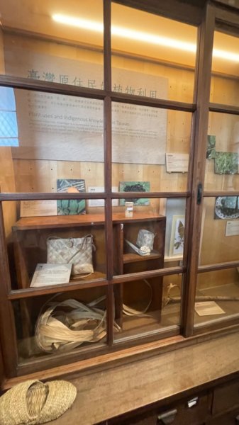 雨天備案💙 台灣博物館的古生代館-台大動植物館免費參觀-北投♨️季2807495